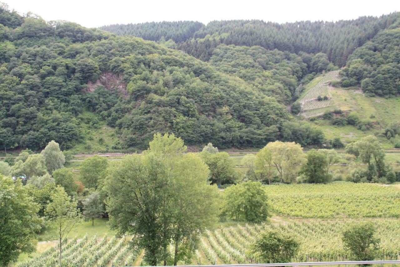 Вілла Weingut Sauer-Kettermann Енкірх Екстер'єр фото
