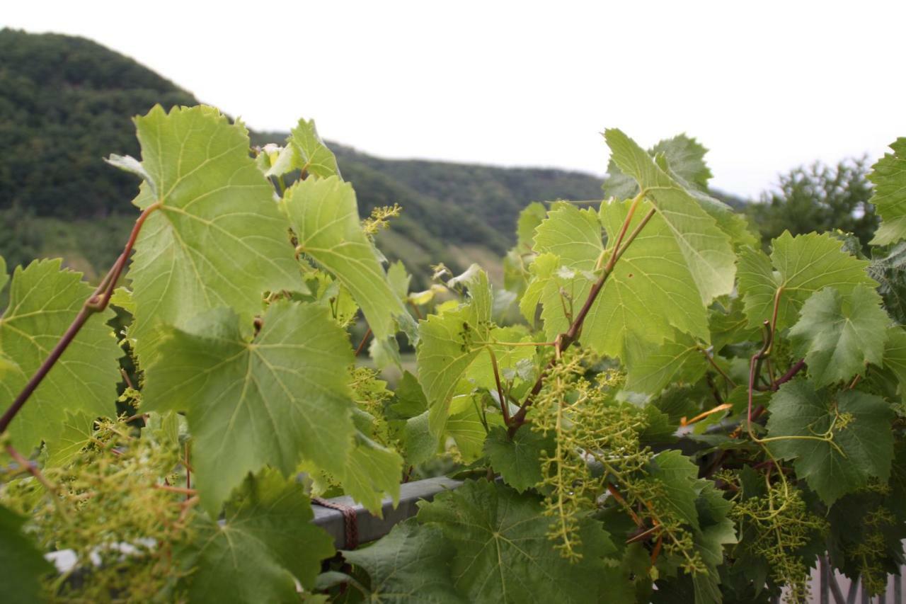 Вілла Weingut Sauer-Kettermann Енкірх Екстер'єр фото