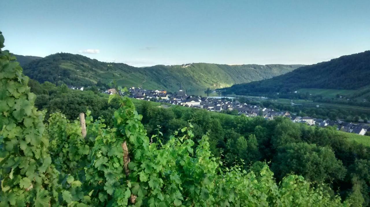 Вілла Weingut Sauer-Kettermann Енкірх Екстер'єр фото