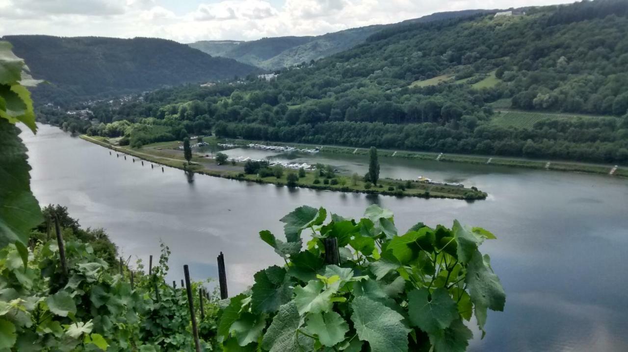 Вілла Weingut Sauer-Kettermann Енкірх Екстер'єр фото