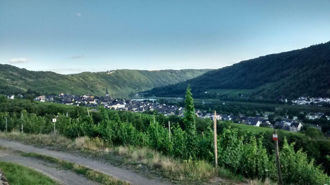 Вілла Weingut Sauer-Kettermann Енкірх Екстер'єр фото