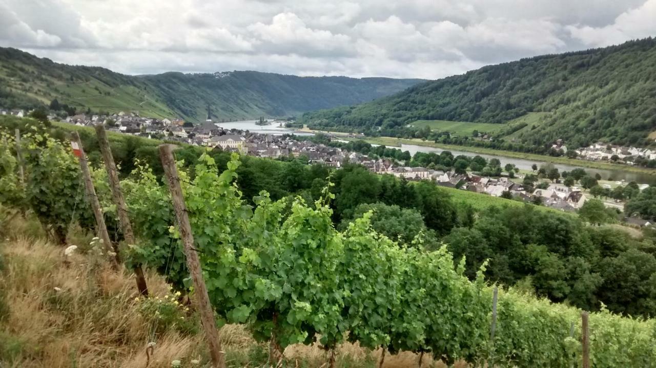 Вілла Weingut Sauer-Kettermann Енкірх Екстер'єр фото