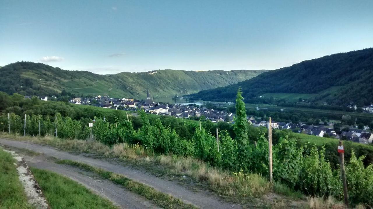 Вілла Weingut Sauer-Kettermann Енкірх Екстер'єр фото